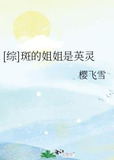[综]斑的姐姐是英灵