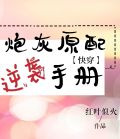 炮灰原配逆袭手册[快穿]